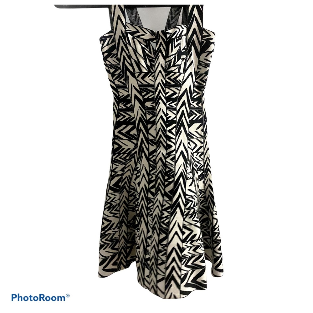 OFF THE RUNWAY Herve léger x MaxAzria Collab dress - Picture 3 of 9